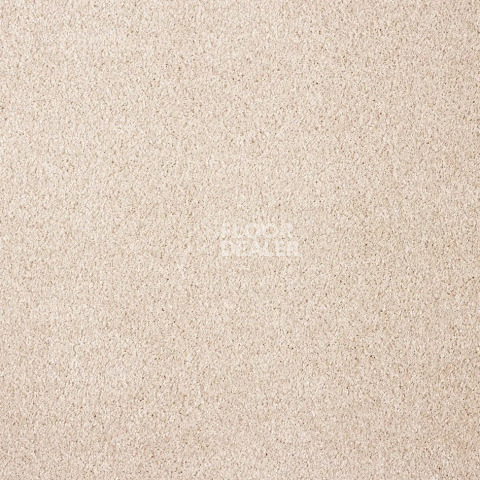 Ковролин AW Scent 38 фото 1 | FLOORDEALER